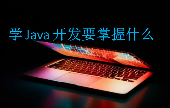 学Java开发要掌握什么