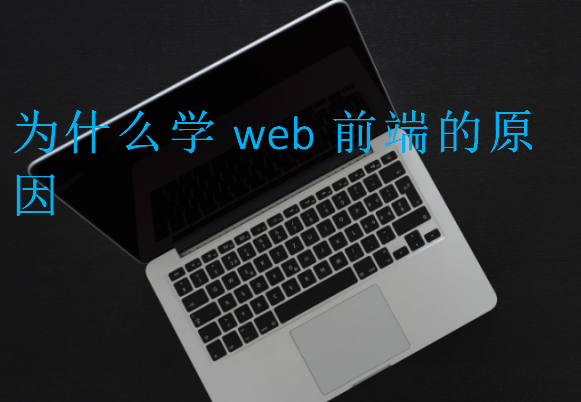 为什么学web前端的原因