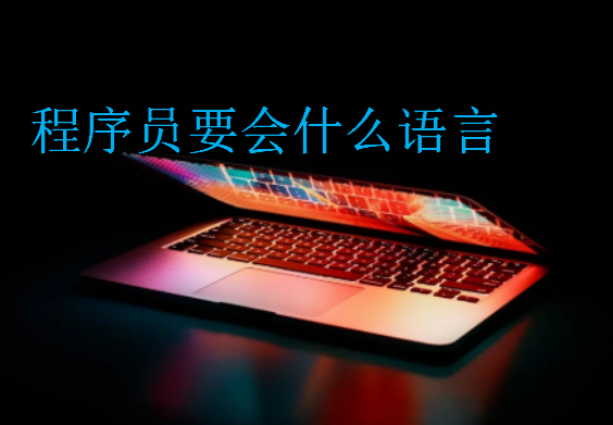 程序员要会什么语言