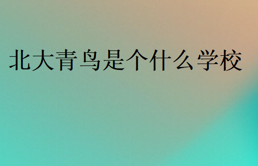 北大青鸟是个什么学校