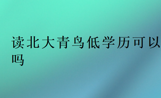 读北大青鸟低学历可以吗