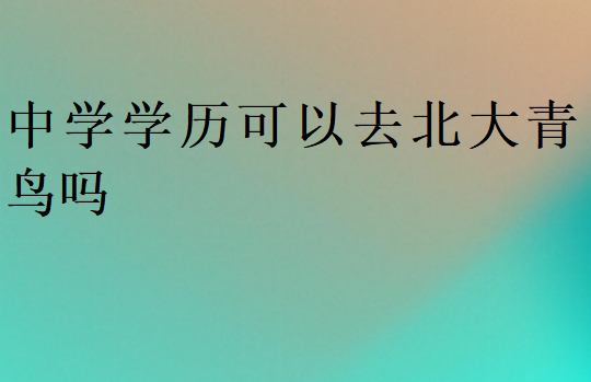 中学学历可以去北大青鸟吗