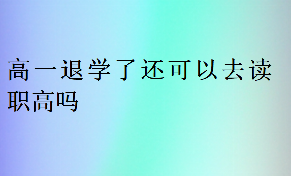 高一退学了还可以去读职高吗